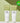 Witch Factory Acidic Purifying Soda Foam 150ml X2  Skin Cleansing ma:nyo