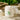 Elizabeth Arden Green Tea Honey Drops Body Cream 500ml  Body Care Elizabeth Arden