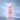 growus Damage Therapy Shampoo EX 500ml  Hair Care growus