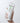 Purition Noscanine Cleansing Gel 200ml  Skin Cleansing Purition