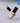 NAMING. Layered Cover Foundation 30ml  Decorative cosmetics NAMING.