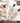 AVENO Body Wash 532ml Fragrance Selection  Body Care AVENO
