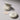 Freshian Egg Like Tone Up Cushion Vegan  Decorative cosmetics 프레시안