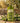 Dalan Pure Olive Oil Deep Moisture Shower Gel Nourishing 400ml  Body Care Dallan