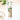 KLORANE Cupuacu Repairing Cica Serum 100ml  Hair Care KLORANE