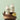 Lemon Verbena Body Lotion  Body Care SKINFOOD