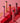 Jungsaemmool Lip Passion Glow Lasting Tint  Decorative cosmetics Jungsaemmool