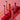 Jungsaemmool Lip Passion Glow Lasting Tint  Decorative cosmetics Jungsaemmool