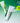THE LAB by blanc doux Green Flavonoid Soothing Cream 50ml+30ml  Skin Care THE LAB by blanc doux
