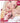 WAKEMAKE Soft Blurring Eye Palette  Decorative cosmetics WAKEMAKE