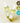 DALEAF Chlorella Hair Loss Relief Hair Tonic 100ml  Hair Care DALEAF