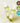 DALEAF Chlorella Hair Loss Relief Hair Tonic 100ml (100ml+100ml)  Hair Care DALEAF