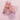 [SLIDER]COLOR BOX EYELET PALETTE 5COLOR  Decorative cosmetics Colorgram
