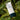 Forest Story Green Finger Mild Calming Sunscreen 80ml  Sunscreen Forest Story