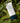 Forest Story Green Finger Mild Calming Sunscreen 80ml  Sunscreen Forest Story