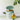[Traffic] 5 min. of chopsticks 60+10 packs  Masks, Pads, Patches Hanyul