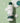 ROUND LAB Pine Soothing Cica Lotion 250ml  Skin Care ROUND LAB