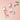 BBIA Lo Tint 4.5g 9 Colors  Decorative cosmetics BBIA