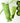 Biplane Mung Bean Milk Peeling Gel 120ml+40ml  Skin Cleansing Belif