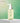 STEAMBASE Tea Tree Scalp Healing Tonic 100ml  Hair Care STEAMBASE