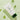 SKINFOOD Water Parsley Refresh Cleansing Foam  Skin Cleansing SKINFOOD