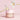 Clavue Nourishing Care Lip Sleeping Pack 3 Types  Decorative cosmetics Clavue