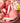 COSNORI Water Blurry Tint 8 Colors  Decorative cosmetics COSNORI
