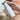 DEMAR3 Etcel Melatonic Ampoule 70ml  Toners, Serums, Essences DEMAR3