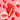 TREE HUT Sugar Lips Lip Butter 15g 3-Pack  Decorative cosmetics TREE HUT