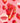 TREE HUT Sugar Lips Lip Butter 15g 3-Pack  Decorative cosmetics TREE HUT