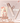 Rom&nd Glasting Color Gloss  Decorative cosmetics rom&nd