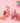 AMUSE Bebe Tint 3.8g 12 Shades  Decorative cosmetics AMUSE