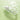 CNP Musszener Phyto Soothing Ampoule 35ml (1+1 pack)  Toners, Serums, Essences CNP