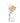 Jungsaemmool Skin Setting Pore Sealer 20ml  Decorative cosmetics Jungsaemmool