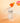 Torriden Cellmaizing Vita C Brightening Ampoule 30ml  Toners, Serums, Essences Torriden