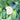Evroché Alga Refresh Shampoo 300ml for Oily Scalp  Hair Care Evroché