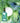 Evroché Moringa Refresh Hair Vinegar 150ml  Hair Care Evroché