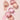 Banila Co Priming Veil Cheek 6g 5 Colors  Decorative cosmetics VANILACO