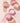 Banila Co Priming Veil Cheek 6g 5 Colors  Decorative cosmetics VANILACO