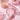 Banila Co Priming Veil Cheek 6g 5 Colors  Decorative cosmetics VANILACO