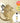 CNP Propolis Active Ampoule 15ml x 2ea  Toners, Serums, Essences CNP
