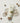 SKINFOOD Acorn Pore Tightening Cleansing Foam 150ml  Skin Cleansing SKINFOOD
