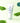 SKIN1004 Centella Asiatica Deep Cleansing Foam 150ml  Skin Cleansing SKIN1004