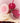 Holika Holika Melting Blur Lip Pot  Decorative cosmetics Holika Holika