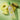 Skinfood Pineapple Baha Peeling Cleansing Oil 200ml  Skin Cleansing SKINFOOD