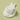 오브베이스 Pick Pack Cleanser Prickly Pear & Green Mandarin 200ml  Skin Cleansing 오브베이스