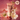 Naruka Straight Sleek Hair Milk  Hair Care Naraka
