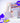 Lanege Neo Tone Up Finish Powder 7g  Decorative cosmetics Laneige