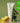 Aromatica Circulating Massage Cream 100ml  Body Care Aromatica