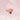 andear Shadow Palette Middlenote  Decorative cosmetics andear